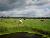 Overijssel ziet geen snelle oplossing voor PAS-melders