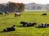 Uitkopen mag van Europa, wat betekent dit?