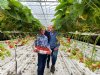 Weerbaar telen maakt inzet van chemie overbodig