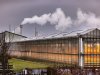 Ministerraad stemt in met borgstellingsregeling voor glastuinbouw