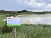 De Hollandse Duinen is Nederlands 22ste Nationaal Park