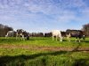 Blijvers moeten plannen maken voor toekomst