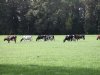 Provincies vrezen meer onzekerheid na kabinetsval