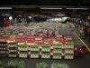 FloraHolland boekt bijna hoogste omzet ooit