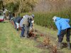 Start campagne 1001 hectare bomen en struiken