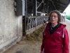 Veeveiling Grin: 'Slot van ons gevecht tegen de regelingen'