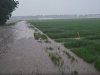 Ernstige regenval zorgt voor overlast in Noordoostpolder