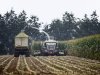Maisseizoen is in Zuid-Nederland al in volle gang