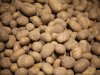 Export aardappelen naar België en Verenigd Koninkrijk daalt fors