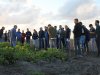 SMK roept keten op tot samenwerking tegen phytophthora