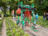 Volautomatisch planten, steken en snoeien: demo toont slimme technieken