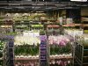 Medewerkers Eelde weigeren eindbod van FloraHolland