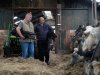 Boerderijcamping Den Hoek koppelt recreatie aan verhaal over veehouderij