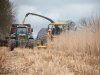 Loonwerker oogst miscanthus tussen de buien door