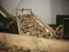 Agrico-telers leveren 10.000 euro per hectare in