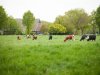 IBR-aanpak: neem geen risico bij aankoop en contacten