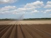 Droog voorjaar baart boeren en tuinders zorgen