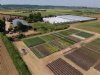 Een hectare met grote impact: hoe een voedseltuin het erf van Barton Arnts versterkt