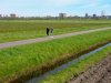 Bij vermogen gaat het om tempo, vertrouwen en transparantie