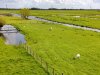 Project toont zorgwekkende conditie veenweidesloten