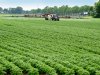 Eerste versie Milieu-Indicator Gewasbescherming later dan gepland