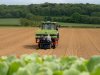 Limburgse witte kool voor loempia’s van Mora