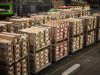Sierteelt start 2026 met lichte daling exportwaarde