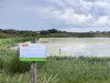 De Hollandse Duinen is Nederlands 22ste Nationaal Park