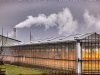 Glastuinders voelen gasprijs straks in rekening