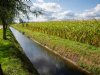 Ondernemers weten BoerenPerspectief Brabant massaal te vinden
