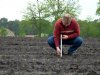 Vleesveehouder zaait minder mais per hectare voor grotere en zwaardere kolf