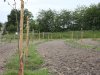 Ruim één miljoen euro voor Agroforestry in Noord-Brabant