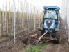 Fruitteler drukt grond vast voor betere start appelbomen