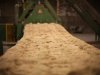 Impuls voor biobased bouwen: ruim drieduizend woningen in de pijplijn