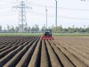 Peiling: Hoe kan de marktpositie van aardappeltelers worden versterkt?