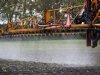 Controle op gewasbeschermingsmiddelen schiet tekort