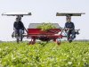 Boeren en tuinders lopen grootste risico op huidkanker