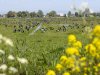 Provincies weten explosief gestegen faunakosten te drukken