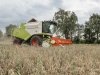 Havermelkproducent zet in op Zeeuwse haver voor wereldwijde afzet