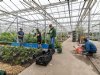 ‘Werken in de tuinbouw kan heel therapeutisch zijn’
