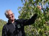 ‘Onze expertise is perfecte peren telen voor lange bewaring’