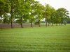 Boeren planten meer dan 10 kilometer aan bomen en hagen