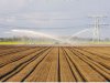Klimaatverandering levert Nederlandse boeren en tuinders ook kansen op