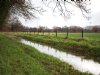 Raad van State verwerpt bezwaren van boeren tegen natuurherstel Dinkelland