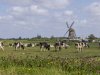20 miljoen euro voor vrijwillige beëindiging veehouderijen Zuid-Holland