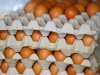 Eierprijzen duiken onder het niveau van vorig jaar