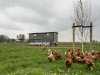 Van kalvercrêche tot compoststal: Barth-Misset Fonds financiert zeven nieuwe projecten