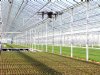 Tuinbouw bereikt recordwaarde van 33 miljard euro