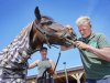 Met humor, paardentaal en handvijl verkeert gebit in prima staat