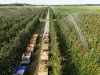 Europese voorraden appels en peren fors hoger dan vorig jaar